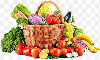 Organic & Gourmet